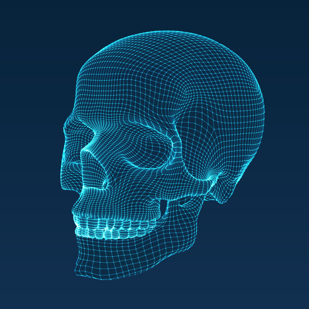 三维颅骨。Ware mesh从3d应用程序。图片 三维颅骨。Ware mesh从3d应用程序。图片下载