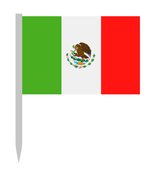 画在国旗上的国旗图片 画在国旗上的国旗图片下载