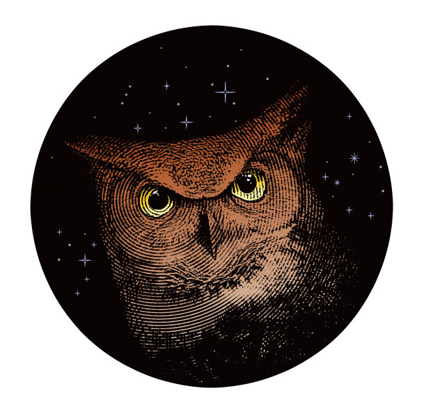 大角猫头鹰,夜空和星星图片 大角猫头鹰,夜空和星星图片下载