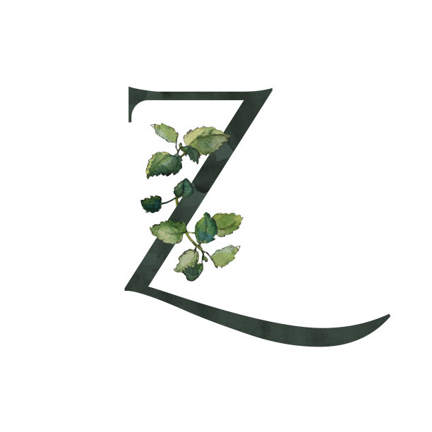黑色字母Z符号与绿色梅利莎树枝图片 黑色字母Z符号与绿色梅利莎树枝图片下载