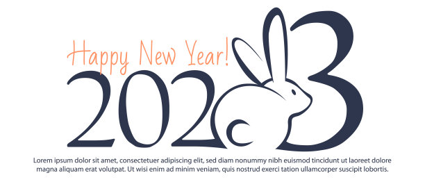 新年和圣诞节庆祝概念的扁平风格。2023年新年祝福文字与兔子在孤立的白色背景与空间文字。图片 新年和圣诞节庆祝概念的扁平风格。2023年新年祝福文字与兔子在孤立的白色背景与空间文字。图片下载