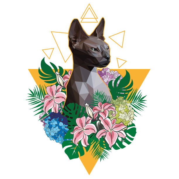 猫图片 猫图片下载