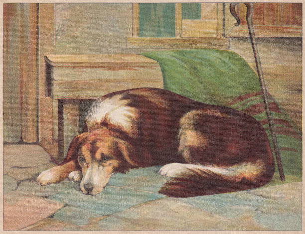狗,彩色印刷术,大约1898年出版图片 狗,彩色印刷术,大约1898年出版图片下载