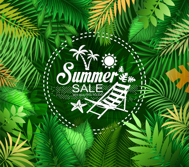 植物的夏季图片 植物的夏季图片下载