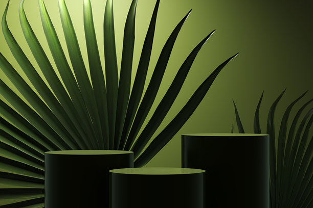 以棕榈叶为背景的圆形圆柱形绿色领奖台。图片 以棕榈叶为背景的圆形圆柱形绿色领奖台。图片下载