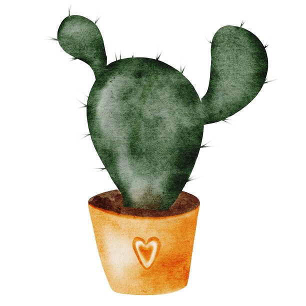 仙人掌卡通水彩画。可爱的盆栽植物手绘在孤立的白色背景上。天真风格的剪贴画植物。非常适合教育卡片和海报。图片 仙人掌卡通水彩画。可爱的盆栽植物手绘在孤立的白色背景上。天真风格的剪贴画植物。非常适合教育卡片和海报。图片下载