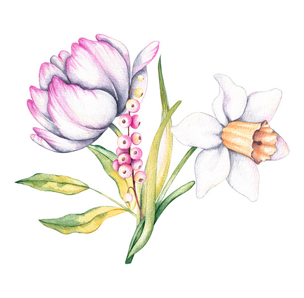 水彩花卉甜点插图合集图片 水彩花卉甜点插图合集图片下载