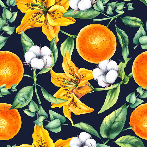 手绘橙子的水彩植物图案图片 手绘橙子的水彩植物图案图片下载
