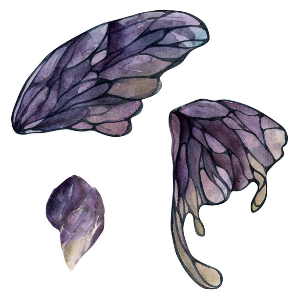 手绘水彩插画蝴蝶仙女翅膀宝石水晶虫蛾。紫晶、紫绿、萤石、紫水晶。一组物体孤立的白色背景。设计印刷,商店,婚礼,生日图片 手绘水彩插画蝴蝶仙女翅膀宝石水晶虫蛾。紫晶、紫绿、萤石、紫水晶。一组物体孤立的白色背景。设计印刷,商店,婚礼,生日图片下载