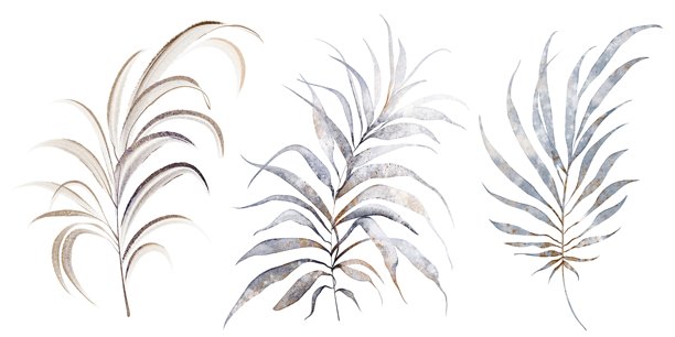 棕榈叶热带植物水彩插画图片 棕榈叶热带植物水彩插画图片下载