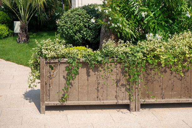 带常春藤和花叶灌木的长条形种植箱,旁边是铺砌的小径。城市公园或庭院区域的景观设计。实景照片图片 带常春藤和花叶灌木的长条形种植箱,旁边是铺砌的小径。城市公园或庭院区域的景观设计。实景照片图片下载