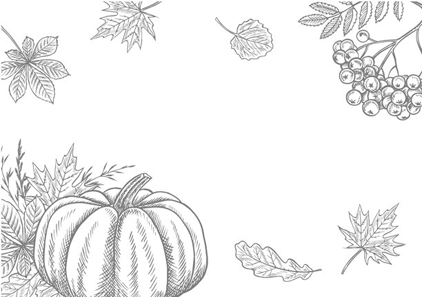 秋季边框,包含南瓜和各种植物元素。矢量图形。黑白手绘插画,带有灰色阴影。背景为白色。适用于明信片、横幅、包装、海报。图片 秋季边框,包含南瓜和各种植物元素。矢量图形。黑白手绘插画,带有灰色阴影。背景为白色。适用于明信片、横幅、包装、海报。图片下载