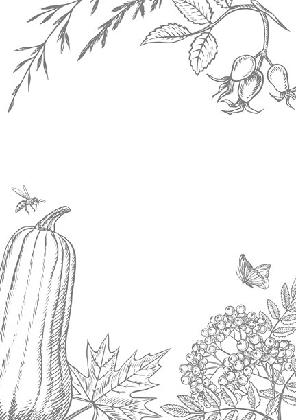 秋季边框,包含南瓜和各种植物元素。矢量图形。黑白手绘插画,带有灰色阴影。白色背景。适用于明信片、横幅、包装和海报。图片 秋季边框,包含南瓜和各种植物元素。矢量图形。黑白手绘插画,带有灰色阴影。白色背景。适用于明信片、横幅、包装和海报。图片下载