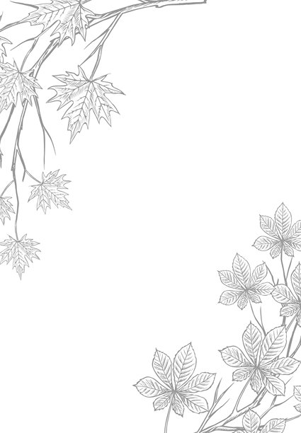 枫树和栗子树枝的边框。矢量图形。黑白手绘插画,带有灰色阴影。在白色背景上。非常适合明信片、横幅、包装、海报、标签。图片 枫树和栗子树枝的边框。矢量图形。黑白手绘插画,带有灰色阴影。在白色背景上。非常适合明信片、横幅、包装、海报、标签。图片下载