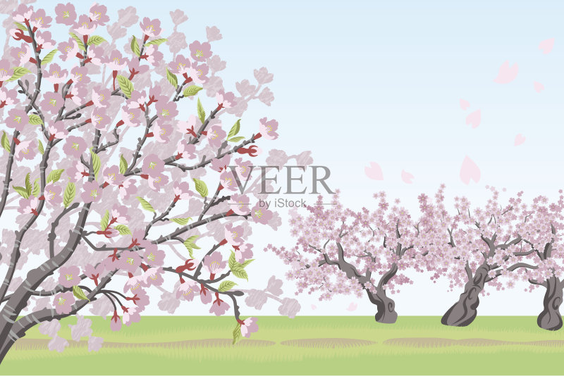 樱桃树的风景正版元素素材