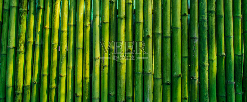 旧竹栅栏背景正版图片素材
