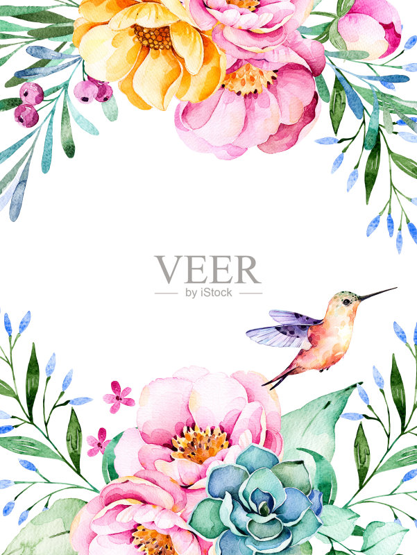 美丽的水彩画卡,玫瑰,花,树叶,多肉植物,正版插画素材