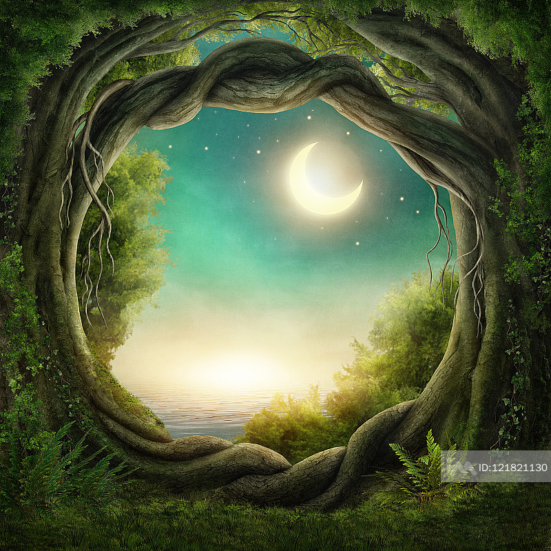 迷人的黑暗森林插画图片素材