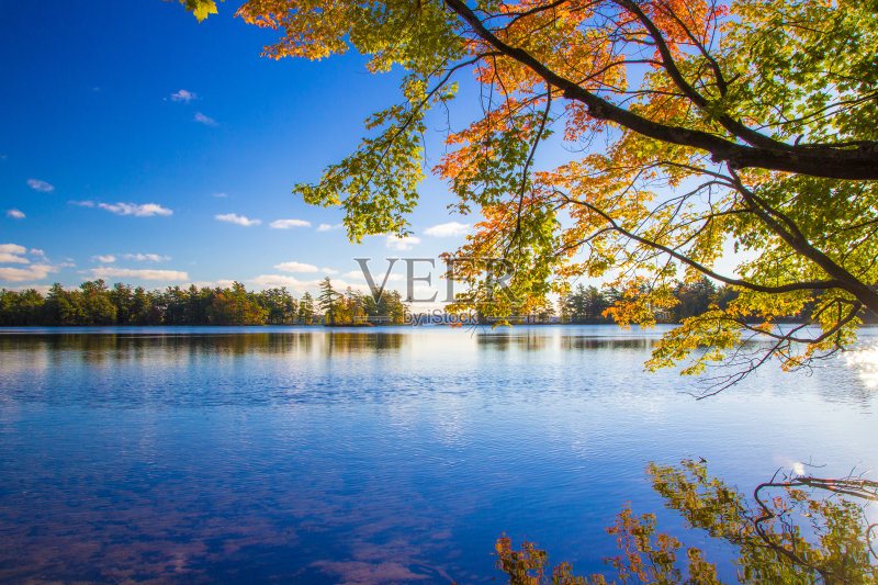 秋季湖正版图片素材