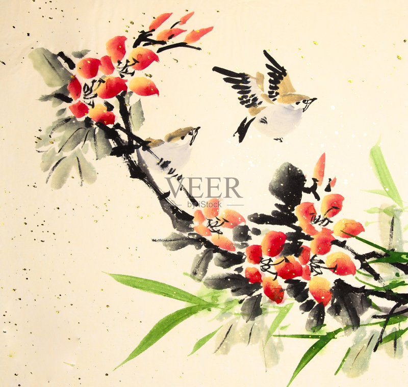 中国水墨画鸟和植物正版插画素材