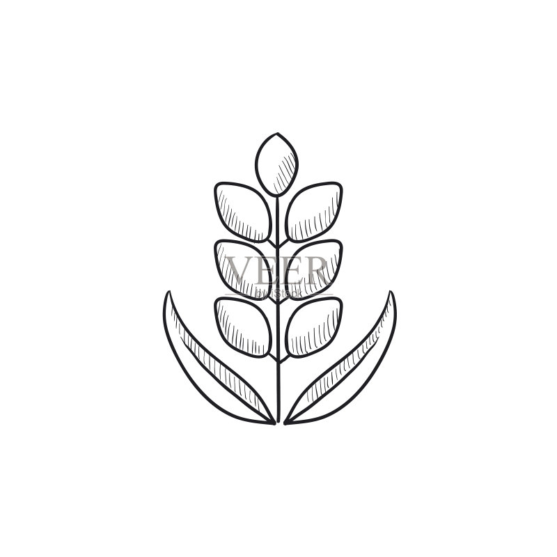 小麦素描图标图标素材