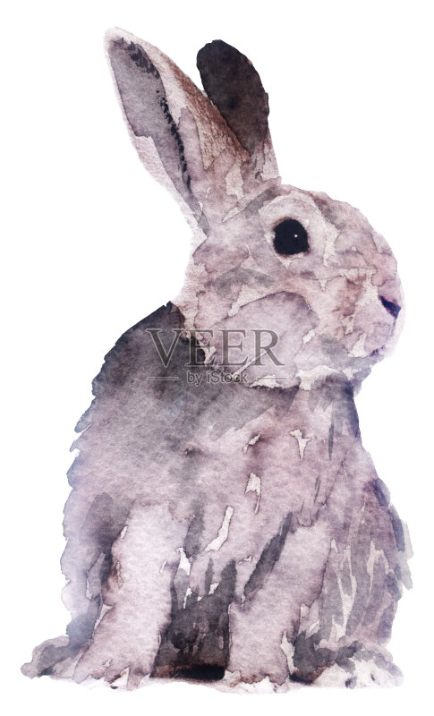 白色背景上的水彩画兔子正版插画素材