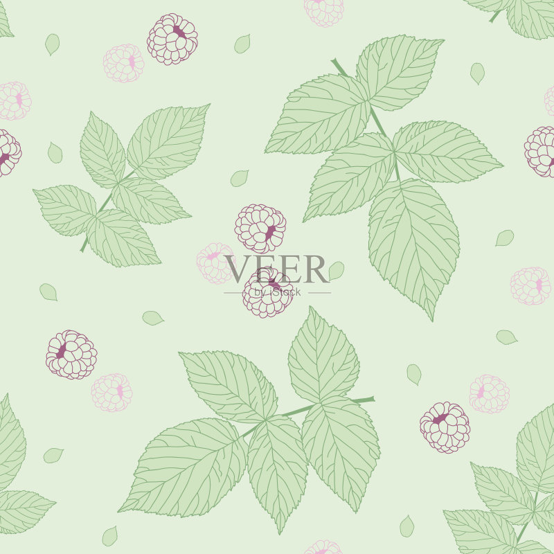 明亮的插图与覆盆子和黑莓叶。无缝的矢量模式。正版插画素材