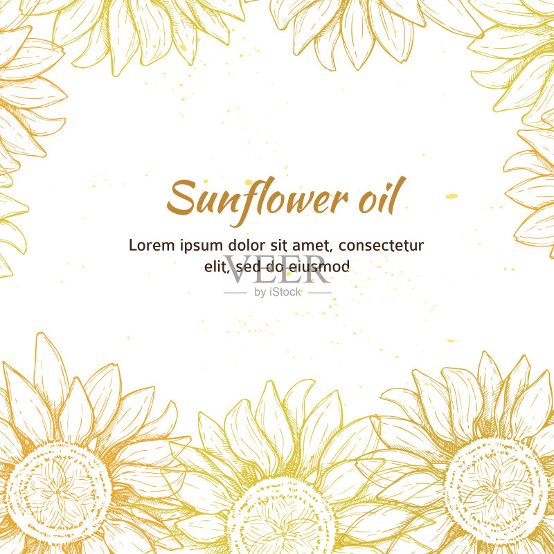 手绘矢量插图-向日葵的背景。古董正版插画素材