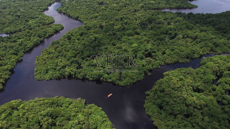 航空拍摄的亚马逊雨林在巴西,南美正版图片素材