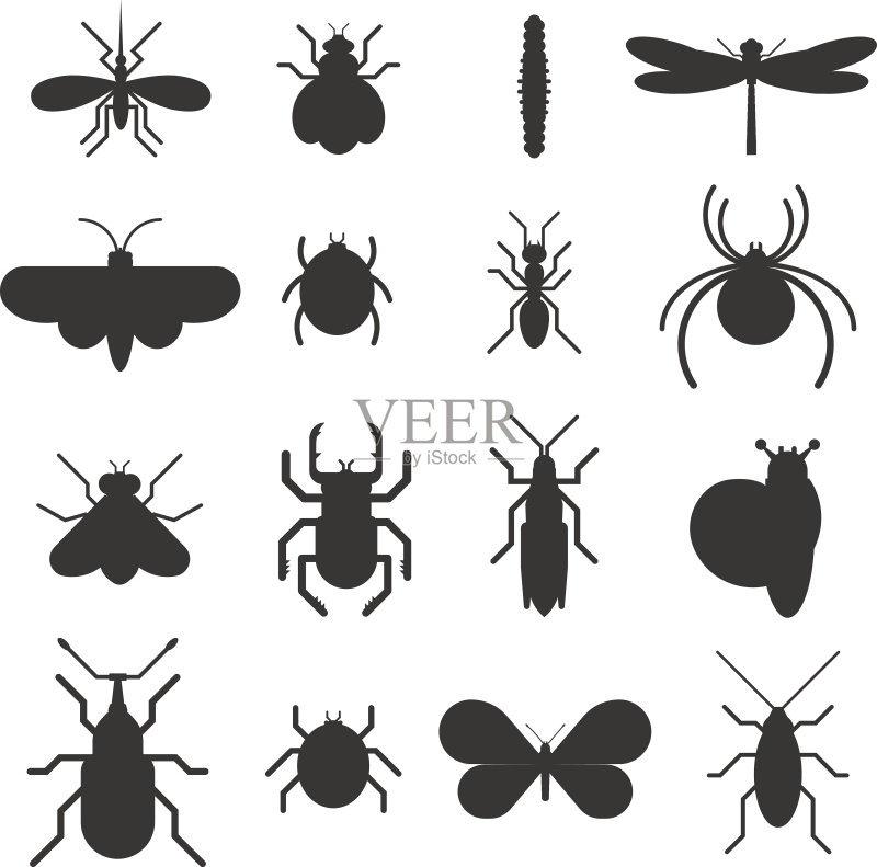 昆虫图标黑色剪影扁平化设计,白色背景图标素材