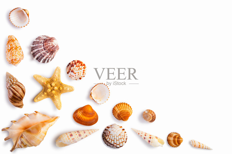 框架与贝壳孤立在白色正版图片素材