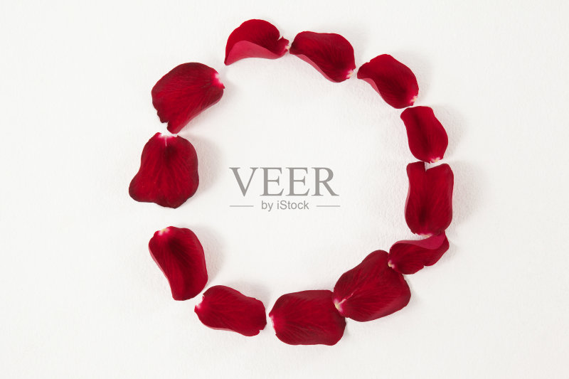 玫瑰花瓣呈圆形正版图片素材