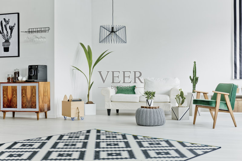 房间宽敞,有图案地毯正版图片素材