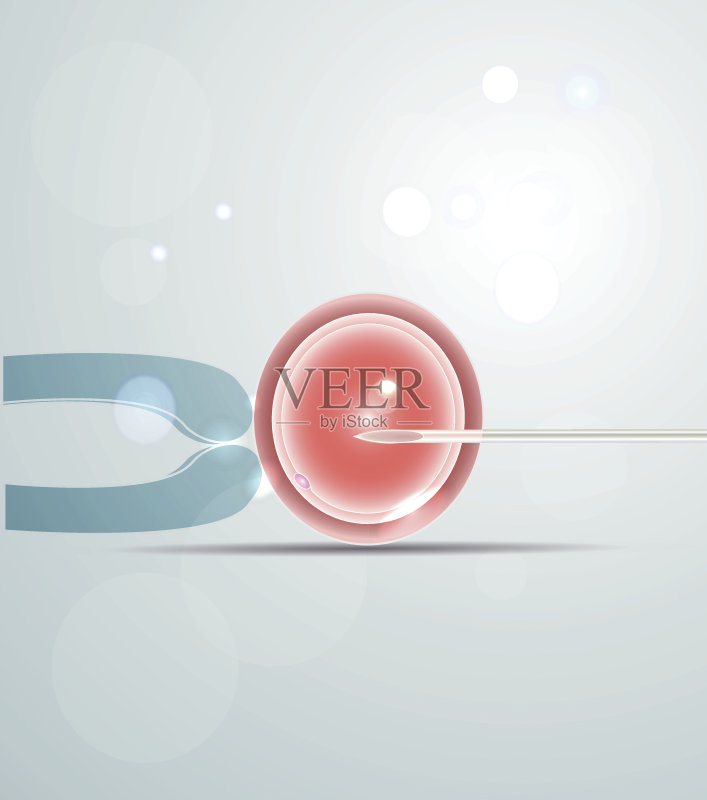 受精正版插画素材