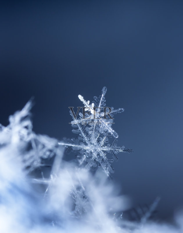 天然雪花上的雪花正版插画素材