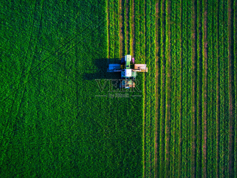 拖拉机在草坪上割草正版图片素材