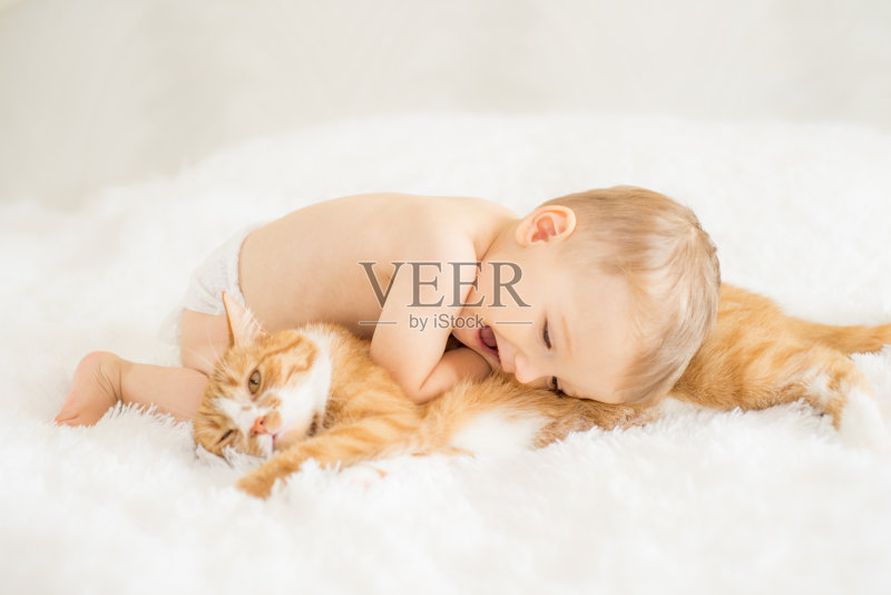 宝宝和他的猫正版图片素材