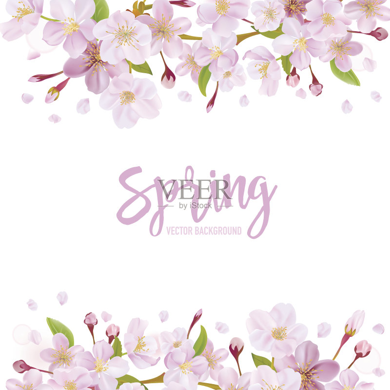 樱花盛开的春天正版插画素材