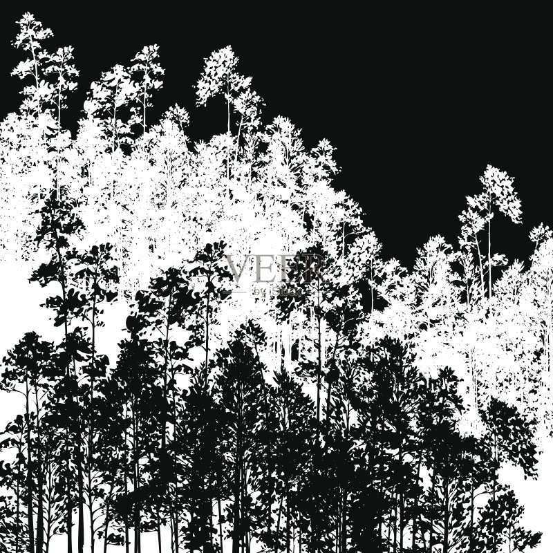 松树景观正版插画素材