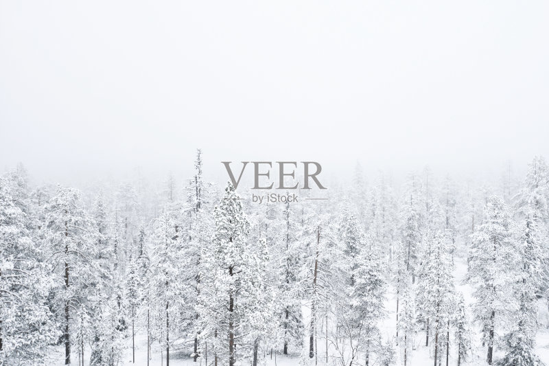 大雪覆盖着浓雾中的森林正版图片素材