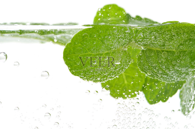 水里的薄荷叶正版图片素材