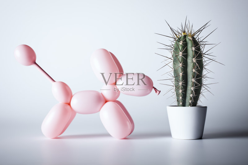 狗和仙人掌-幽默奇异的兴奋气球正版图片素材