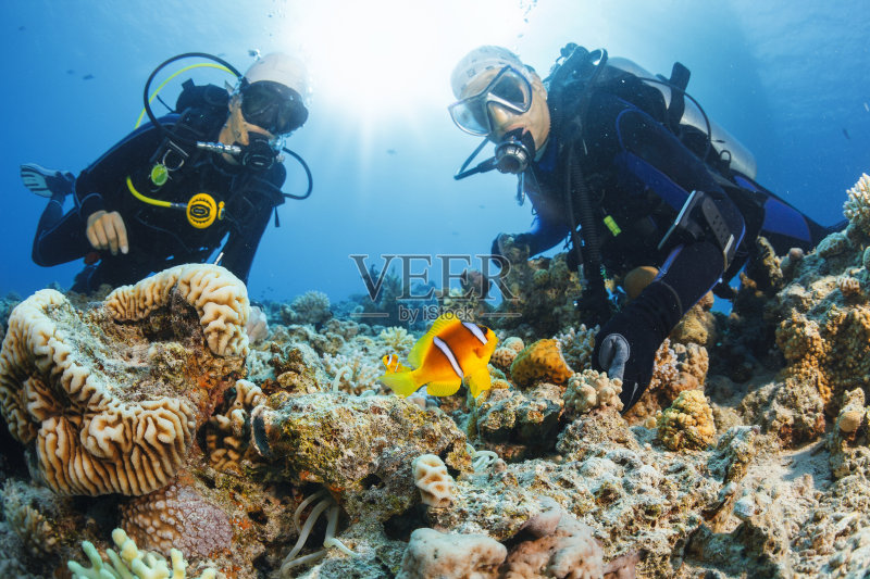 水下场景与水肺潜水员珊瑚和海葵小丑鱼正版图片素材