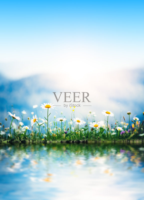 湖边的春天草地正版图片素材