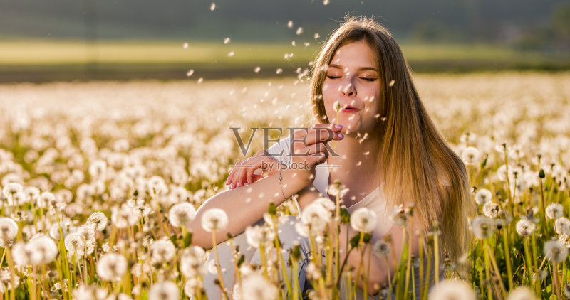 一个女人在田里吹蒲公英花正版图片素材