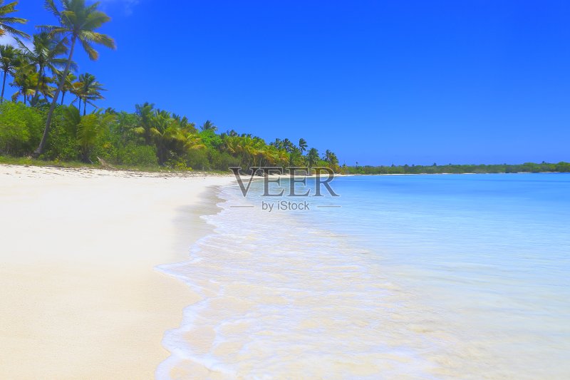 热带天堂:绿松石沙滩,棕榈树和蓝天正版图片素材