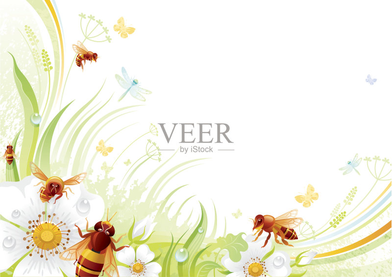 蝴蝶背景与copyspace:蜜蜂和野玫瑰正版插画素材