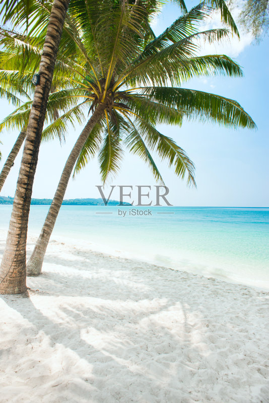 美丽的海滩正版图片素材