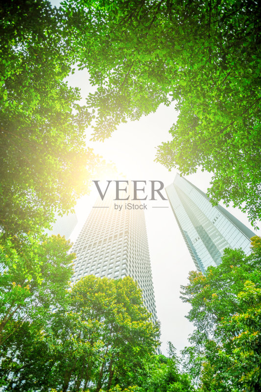 商业大厦和绿叶正版图片素材