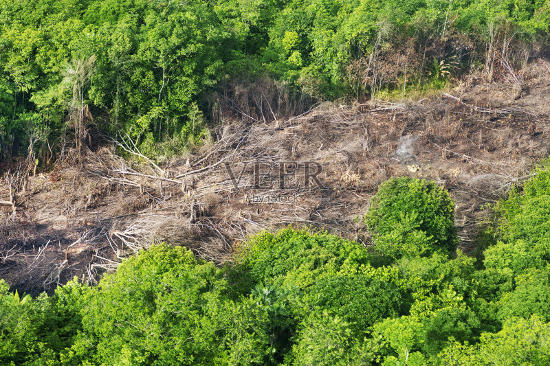 亚马逊的森林砍伐正版图片素材
